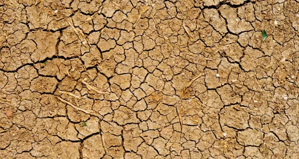 Aufgrund von DÃ¼rren und WÃ¼stenbildung mÃ¼ssen viele Menschen weltweit ihre Heimat verlassen. Foto: Dan Gold, unsplash.com, H0Jp8pX-0zw