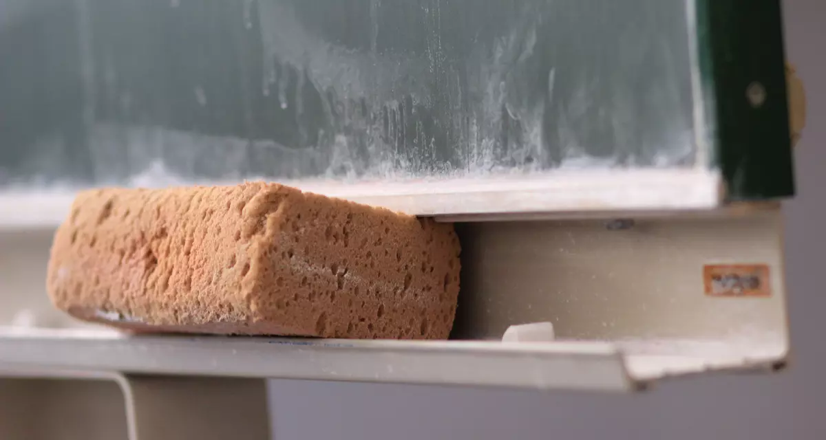 Schwamm an einer Tafel. Foto: LpB BW / Beiter.