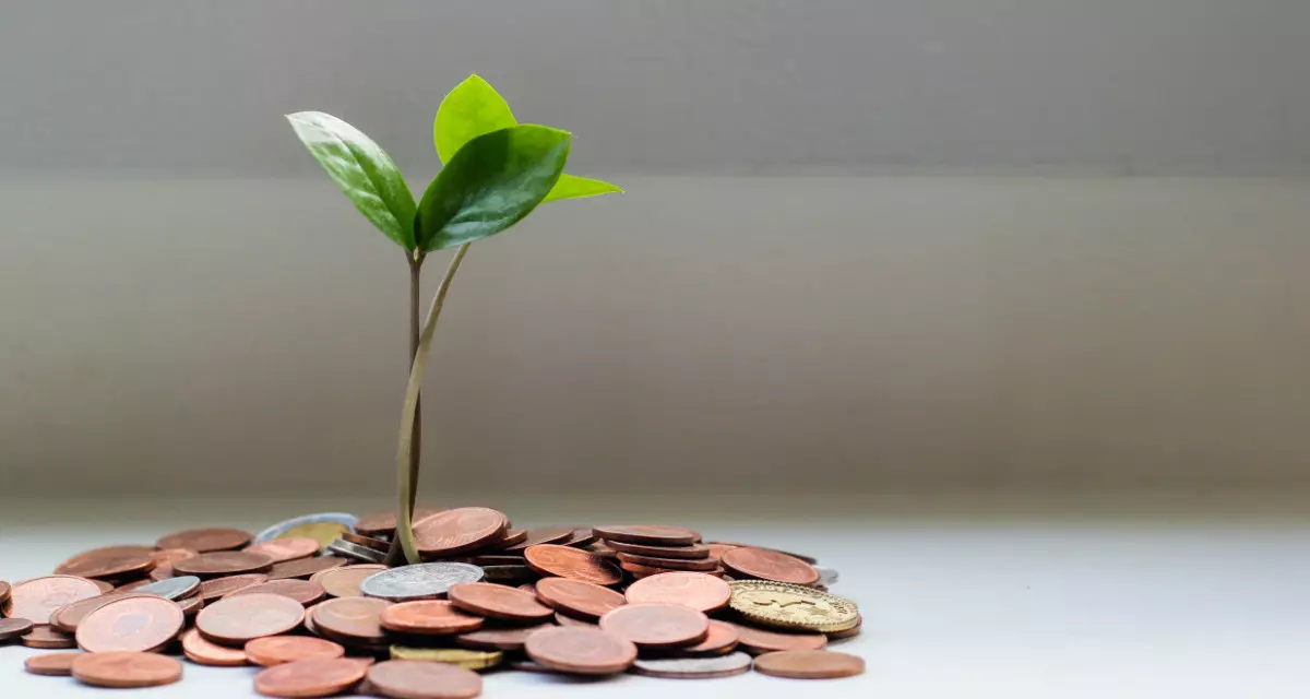 Symbolfoto â€žPflanze und GeldmÃ¼nzenâ€œ. Foto: unsplash.com | micheile dot com