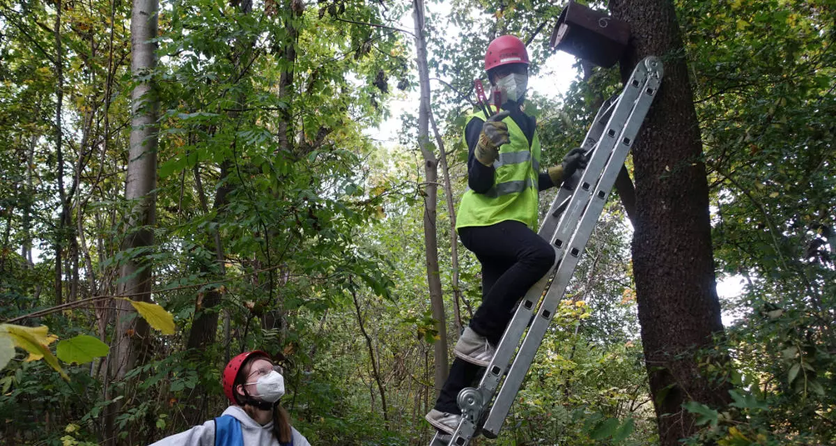 Gemeinsam mit dem Naturschutzbund kontrolliert MichÃ¨le die NistkÃ¤sten fÃ¼r VÃ¶gel im Stuttgarter Stadtteil Fasanenhof.