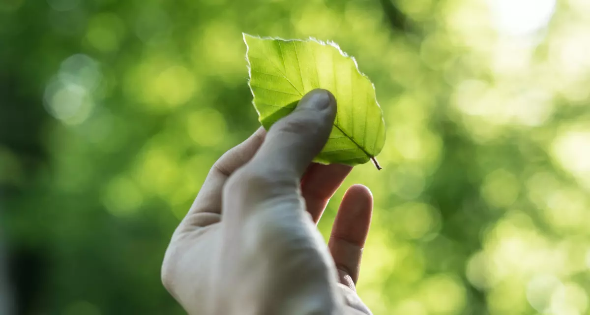 Jede:r kann etwas fÃ¼r die Umwelt tun. Foto: unsplash | Tobias Weinhold