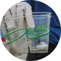 Bioplastikbecher. Foto: unsplash.com | Brian Yurasits Bioplastikbecher. Foto: unsplash.com | Brian Yurasits