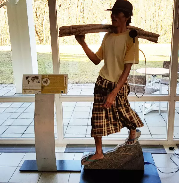 HolzfÃ¤ller aus Indonesien. Foto: LpB BW