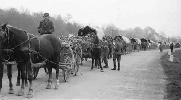 Ein donauschwÃ¤bischer FlÃ¼chtlingstreck im Jahr 1944 aus der Gemeinde Sarwasch (Slawonien) im Nordosten des heutigen Kroatien auf dem Weg in den Westen. Foto: DonauschwÃ¤bisches Zentralmuseum Ulm (DZM)
