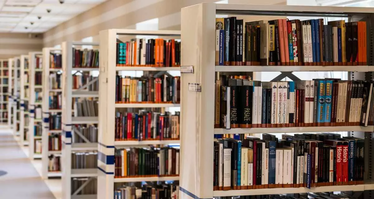 BÃ¼cher in einer Bibliothek.