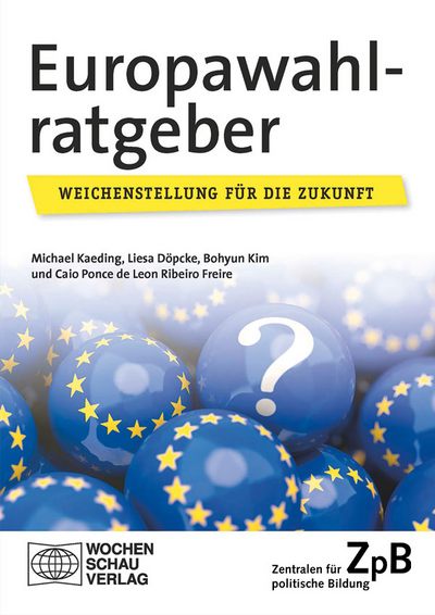 Kaeding: Europawahl-Ratgeber 2024
