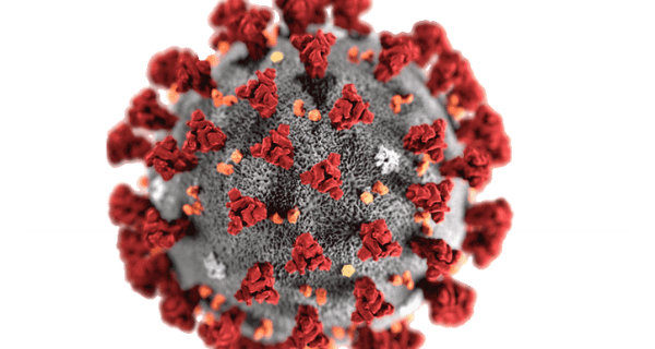 Grafik: Center for Disease Control and Prevention, public domain Grafik: Center for Disease Control and Prevention, public domain
