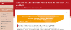 Screenshot Moodle-Kurs