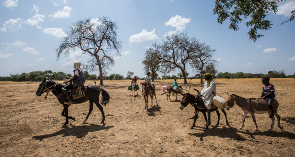 Sudanesische Flüchtlingskinder im Tschad legen mehrere Kilometer zurück, um Wasser zu holen. Die UNHCR und ihre Partner betonen, dass der Klimawandel und unregelmäßige Regenfälle das Leben der Flüchtlinge und der Bevölkerung insgesamt Sudanesische Flüchtlingskinder beim Wasser holen. Foto: © UNHCR/Oualid Khelifi