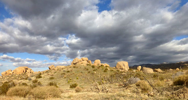 WÃ¼ste Arizona. Foto: LpB